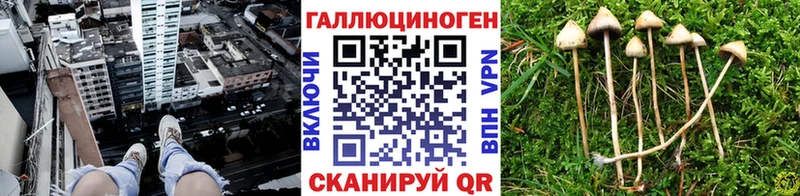 Галлюциногенные грибы GOLDEN TEACHER  Чёрмоз 