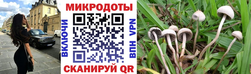 Псилоцибиновые грибы Magic Shrooms Чёрмоз